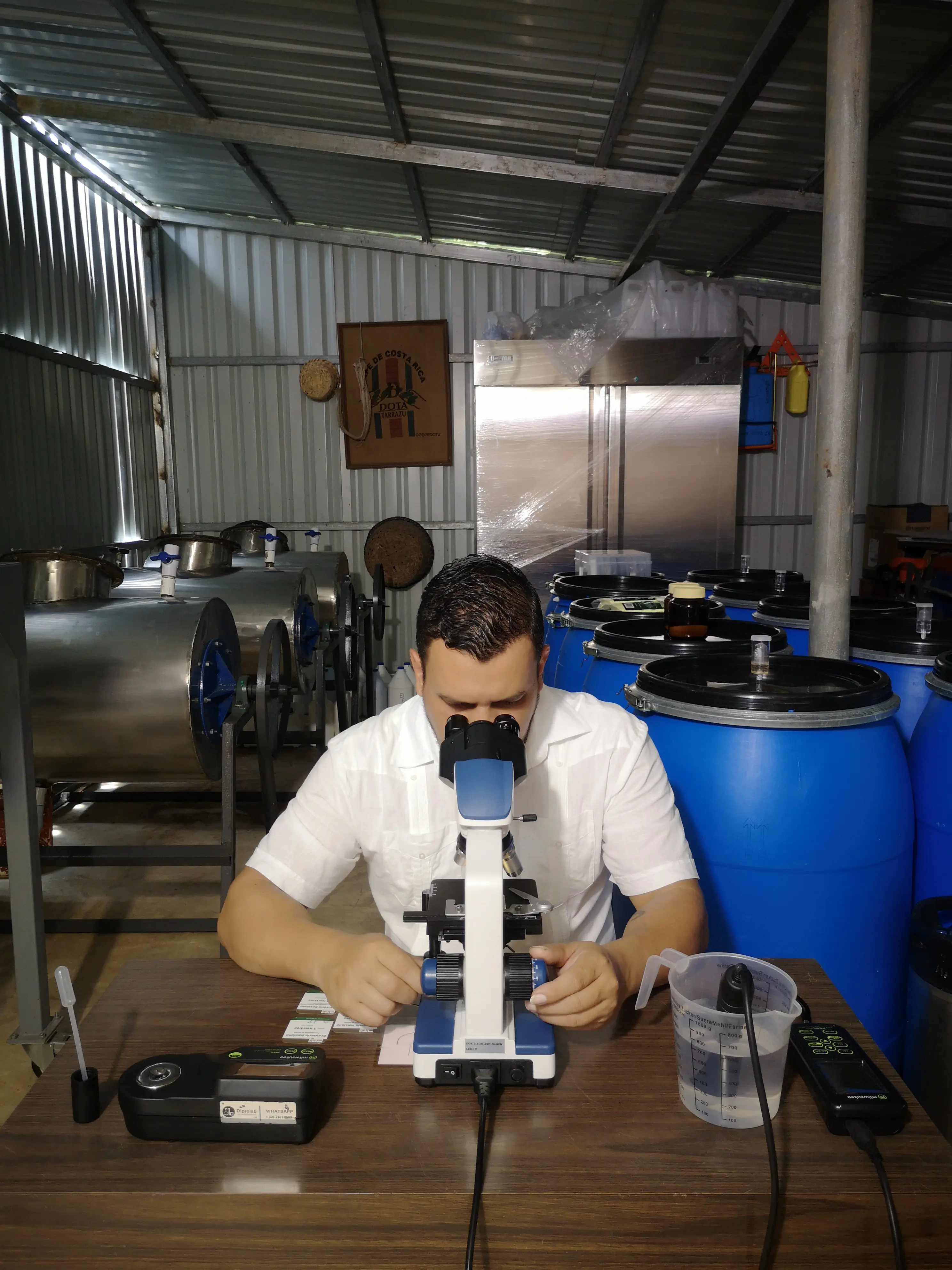 Análisis microscópico